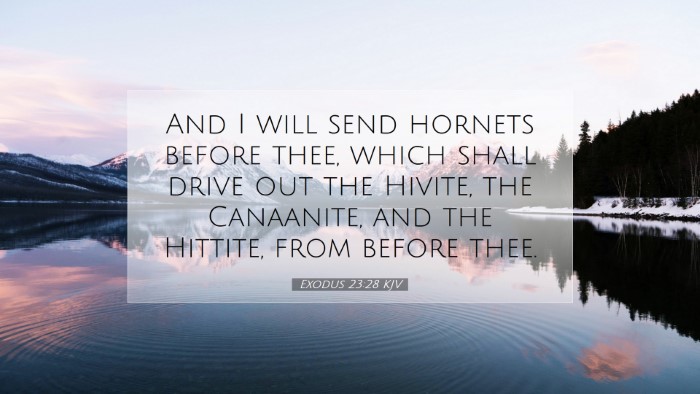 Picture 07 - Exodus 23:28 KJV Desktop Wallpaper - And I will send hornets before thee, which shall - Desktop Bible Verse Wallpaper