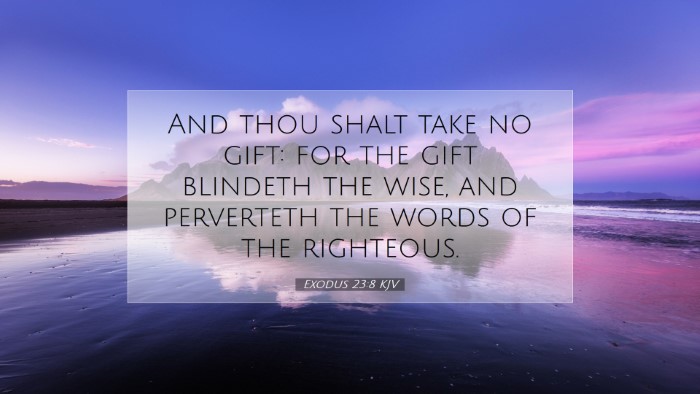 Picture 07 - Exodus 23:8 KJV Desktop Wallpaper - And thou shalt take no gift: for the gift - Desktop Bible Verse Wallpaper
