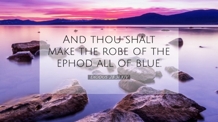 Picture 07 - Exodus 28:31 KJV Desktop Wallpaper - And thou shalt make the robe of the ephod all of - Desktop Bible Verse Wallpaper