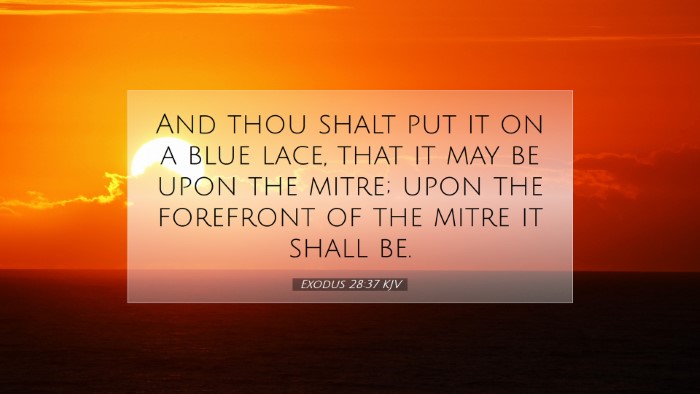 Picture 07 - Exodus 28:37 KJV Desktop Wallpaper - And thou shalt put it on a blue lace, that it may - Desktop Bible Verse Wallpaper