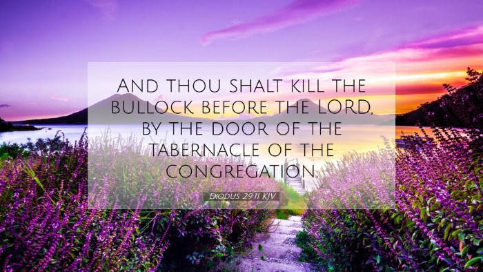 Picture 07 - Exodus 29:11 KJV Desktop Wallpaper - And thou shalt kill the bullock before the LORD, - Desktop Bible Verse Wallpaper