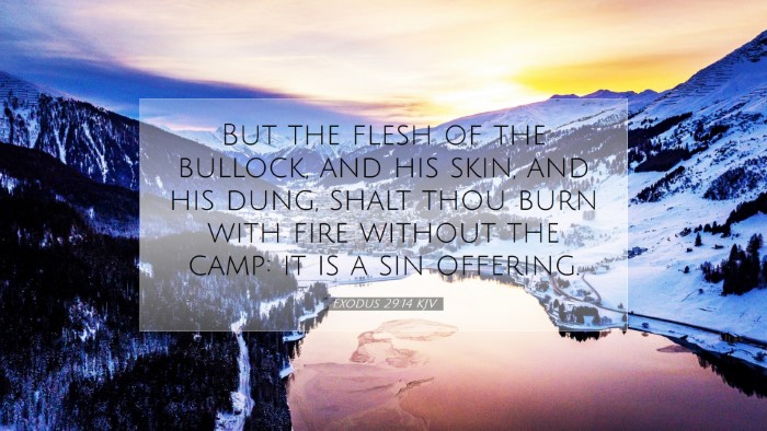 Picture 07 - Exodus 29:14 KJV Desktop Wallpaper - But the flesh of the bullock, and his skin, and - Desktop Bible Verse Wallpaper