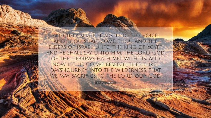 Picture 07 - Exodus 3:18 KJV Desktop Wallpaper - And they shall hearken to thy voice: and thou - Desktop Bible Verse Wallpaper