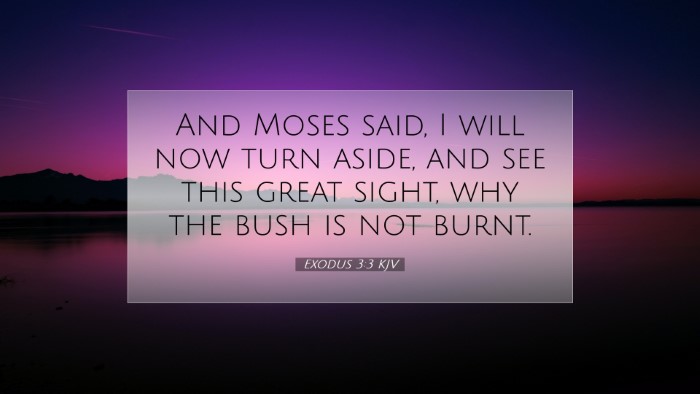 Picture 07 - Exodus 3:3 KJV Desktop Wallpaper - And Moses said, I will now turn aside, and see - Desktop Bible Verse Wallpaper
