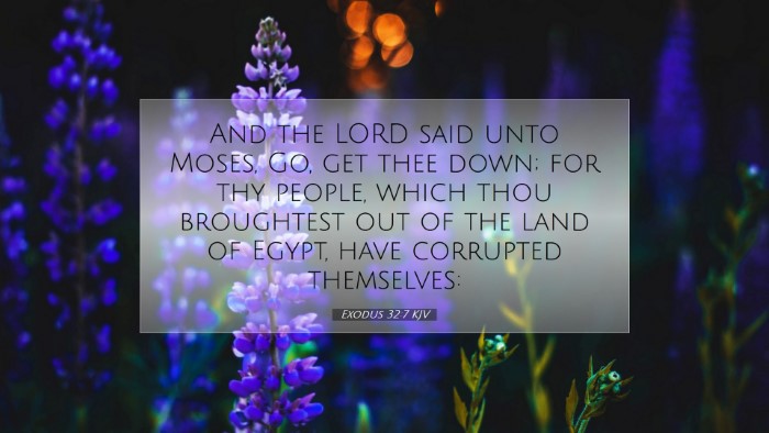 Picture 07 - Exodus 32:7 KJV Desktop Wallpaper - And the LORD said unto Moses, Go, get thee down; - Desktop Bible Verse Wallpaper