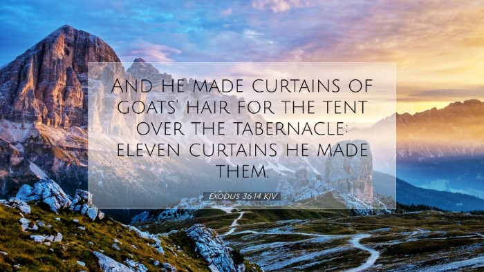 Picture 07 - Exodus 36:14 KJV Desktop Wallpaper - And he made curtains of goats' hair for the tent - Desktop Bible Verse Wallpaper
