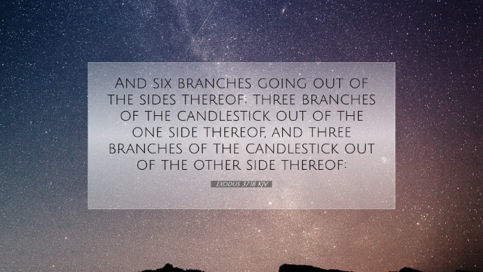 Picture 07 - Exodus 37:18 KJV Desktop Wallpaper - And six branches going out of the sides thereof; - Desktop Bible Verse Wallpaper