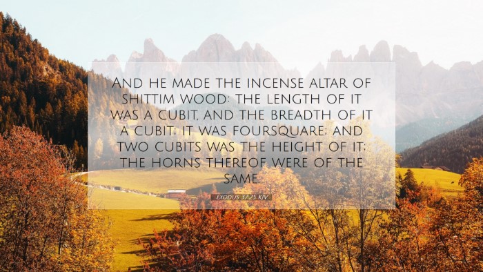 Picture 07 - Exodus 37:25 KJV Desktop Wallpaper - And he made the incense altar of shittim wood: - Desktop Bible Verse Wallpaper