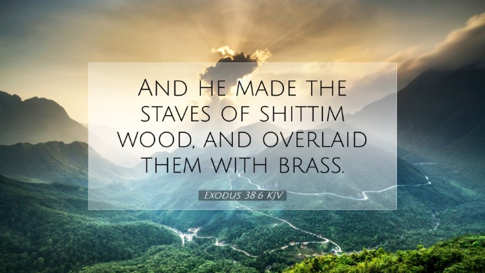 Picture 07 - Exodus 38:6 KJV Desktop Wallpaper - And he made the staves of shittim wood, and - Desktop Bible Verse Wallpaper