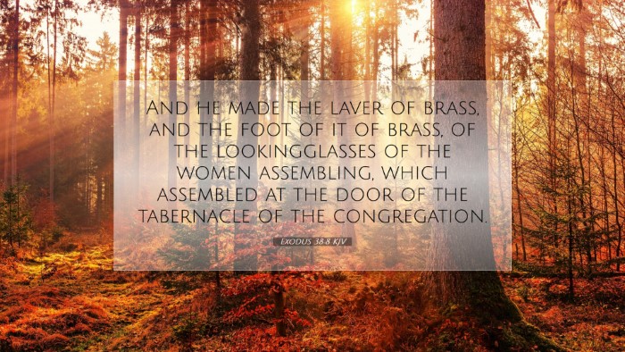 Picture 07 - Exodus 38:8 KJV Desktop Wallpaper - And he made the laver of brass, and the foot of - Desktop Bible Verse Wallpaper