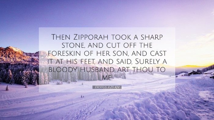 Picture 07 - Exodus 4:25 KJV Desktop Wallpaper - Then Zipporah took a sharp stone, and cut off the - Desktop Bible Verse Wallpaper