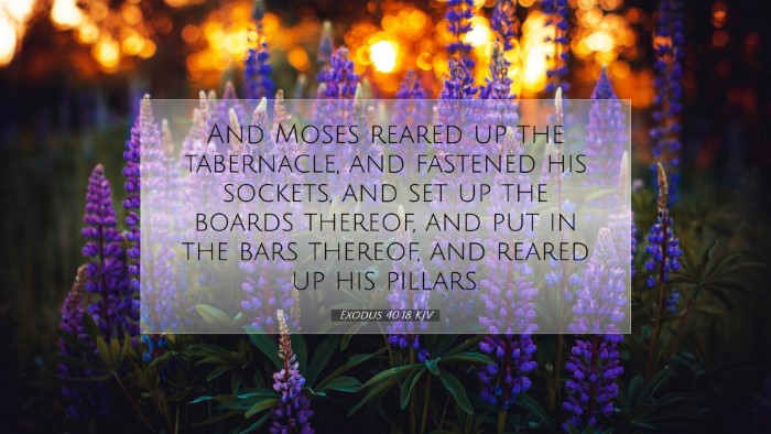 Picture 07 - Exodus 40:18 KJV Desktop Wallpaper - And Moses reared up the tabernacle, and fastened - Desktop Bible Verse Wallpaper