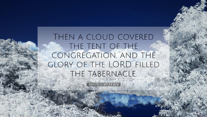 Picture 07 - Exodus 40:34 KJV Desktop Wallpaper - Then a cloud covered the tent of the - Desktop Bible Verse Wallpaper