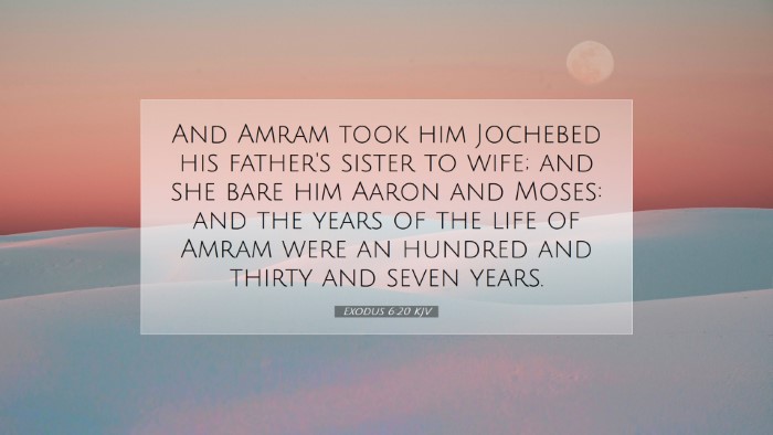 Picture 07 - Exodus 6:20 KJV Desktop Wallpaper - And Amram took him Jochebed his father's sister - Desktop Bible Verse Wallpaper
