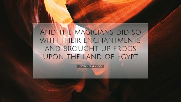 Picture 07 - Exodus 8:7 KJV Desktop Wallpaper - And the magicians did so with their enchantments, - Desktop Bible Verse Wallpaper