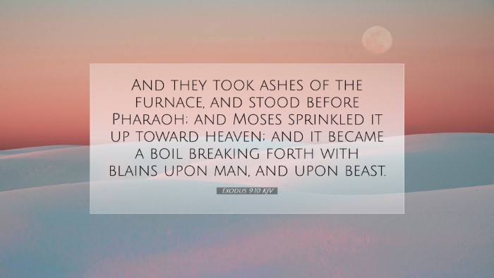 Picture 07 - Exodus 9:10 KJV Desktop Wallpaper - And they took ashes of the furnace, and stood - Desktop Bible Verse Wallpaper