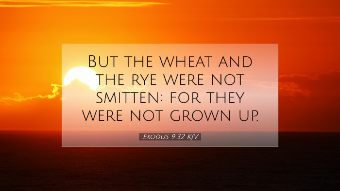 Picture 07 - Exodus 9:32 KJV Desktop Wallpaper - But the wheat and the rye were not smitten: for - Desktop Bible Verse Wallpaper