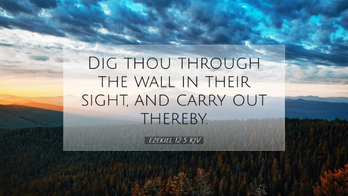 Picture 07 - Ezekiel 12:5 KJV Desktop Wallpaper - Dig thou through the wall in their sight, and - Desktop Bible Verse Wallpaper