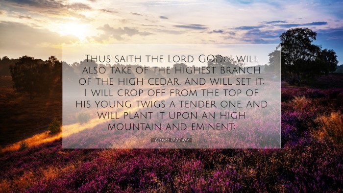 Picture 07 - Ezekiel 17:22 KJV Desktop Wallpaper - Thus saith the Lord GOD; I will also take of the - Desktop Bible Verse Wallpaper