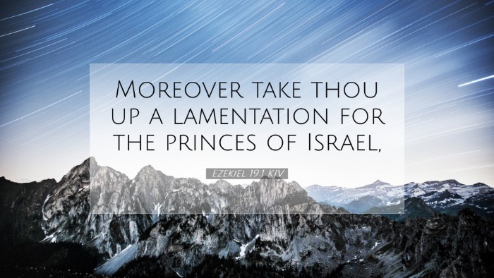 Picture 07 - Ezekiel 19:1 KJV Desktop Wallpaper - Moreover take thou up a lamentation for the - Desktop Bible Verse Wallpaper