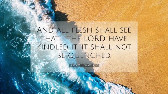 Picture 07 - Ezekiel 20:48 KJV Desktop Wallpaper - And all flesh shall see that I the LORD have - Desktop Bible Verse Wallpaper