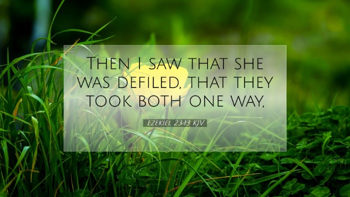 Picture 07 - Ezekiel 23:13 KJV Desktop Wallpaper - Then I saw that she was defiled, that they took - Desktop Bible Verse Wallpaper