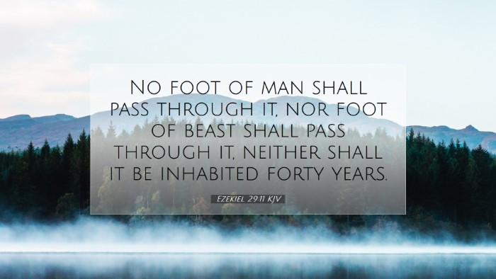 Picture 07 - Ezekiel 29:11 KJV Desktop Wallpaper - No foot of man shall pass through it, nor foot of - Desktop Bible Verse Wallpaper
