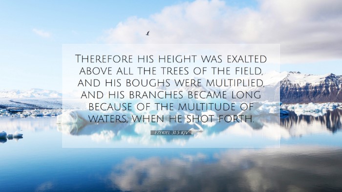 Picture 07 - Ezekiel 31:5 KJV Desktop Wallpaper - Therefore his height was exalted above all the - Desktop Bible Verse Wallpaper