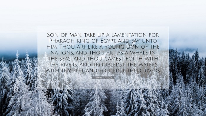 Picture 07 - Ezekiel 32:2 KJV Desktop Wallpaper - Son of man, take up a lamentation for Pharaoh - Desktop Bible Verse Wallpaper