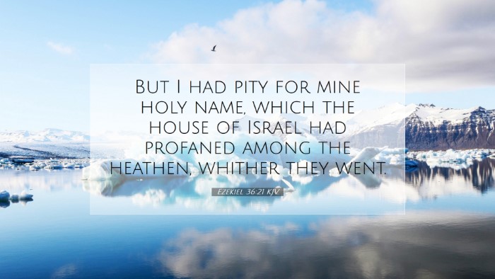 Picture 07 - Ezekiel 36:21 KJV Desktop Wallpaper - But I had pity for mine holy name, which the - Desktop Bible Verse Wallpaper