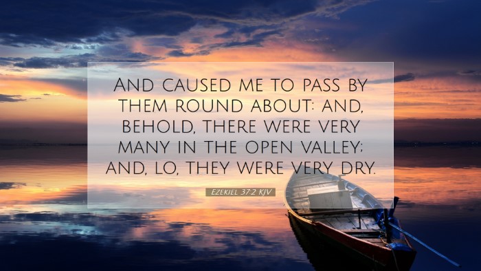 Picture 07 - Ezekiel 37:2 KJV Desktop Wallpaper - And caused me to pass by them round about: and, - Desktop Bible Verse Wallpaper