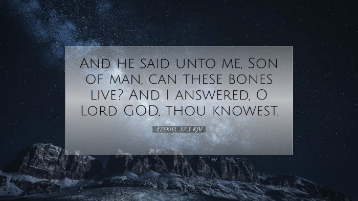 Picture 07 - Ezekiel 37:3 KJV Desktop Wallpaper - And he said unto me, Son of man, can these bones - Desktop Bible Verse Wallpaper