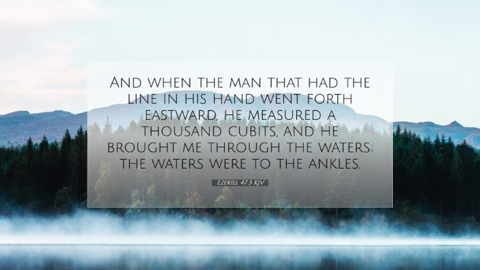 Picture 07 - Ezekiel 47:3 KJV Desktop Wallpaper - And when the man that had the line in his hand - Desktop Bible Verse Wallpaper