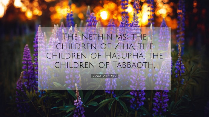 Picture 07 - Ezra 2:43 KJV Desktop Wallpaper - The Nethinims: the children of Ziha, the children - Desktop Bible Verse Wallpaper