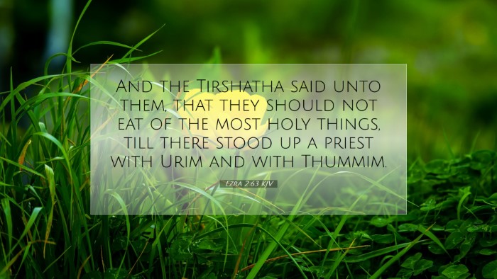 Picture 07 - Ezra 2:63 KJV Desktop Wallpaper - And the Tirshatha said unto them, that they - Desktop Bible Verse Wallpaper
