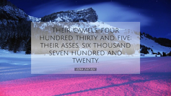 Picture 07 - Ezra 2:67 KJV Desktop Wallpaper - Their camels, four hundred thirty and five; their - Desktop Bible Verse Wallpaper