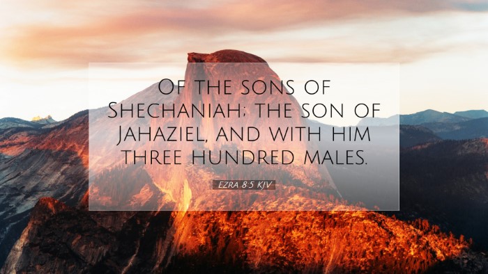 Picture 07 - Ezra 8:5 KJV Desktop Wallpaper - Of the sons of Shechaniah; the son of Jahaziel, - Desktop Bible Verse Wallpaper