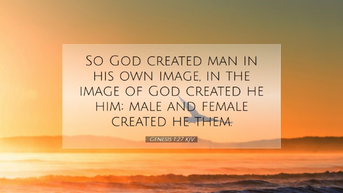Picture 07 - Genesis 1:27 KJV Desktop Wallpaper - So God created man in his own image, in the image - Desktop Bible Verse Wallpaper