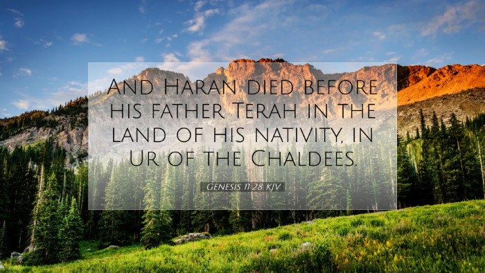 Picture 07 - Genesis 11:28 KJV Desktop Wallpaper - And Haran died before his father Terah in the - Desktop Bible Verse Wallpaper