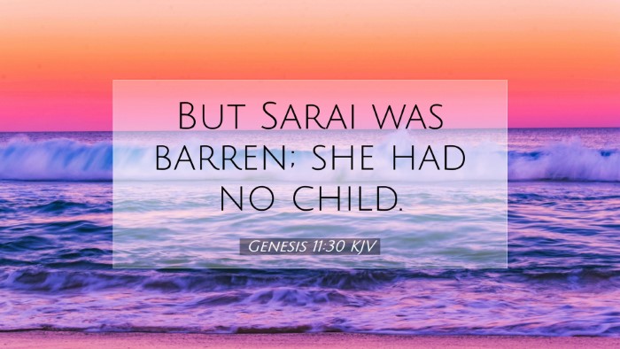 Picture 07 - Genesis 11:30 KJV Desktop Wallpaper - But Sarai was barren; she had no - Desktop Bible Verse Wallpaper