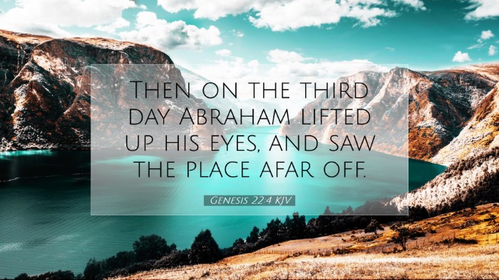 Picture 07 - Genesis 22:4 KJV Desktop Wallpaper - Then on the third day Abraham lifted up his eyes, - Desktop Bible Verse Wallpaper