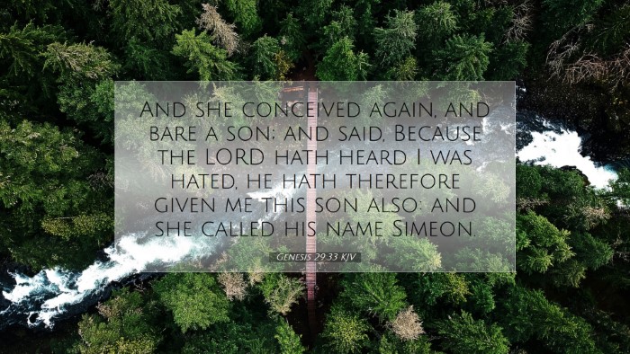 Picture 07 - Genesis 29:33 KJV Desktop Wallpaper - And she conceived again, and bare a son; and - Desktop Bible Verse Wallpaper