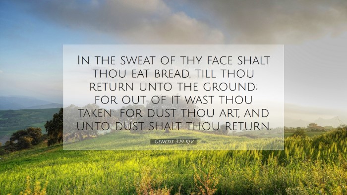 Picture 07 - Genesis 3:19 KJV Desktop Wallpaper - In the sweat of thy face shalt thou eat bread, - Desktop Bible Verse Wallpaper