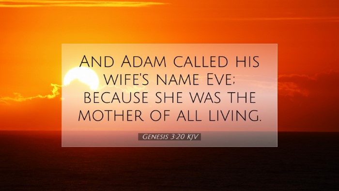 Picture 07 - Genesis 3:20 KJV Desktop Wallpaper - And Adam called his wife's name Eve; because she - Desktop Bible Verse Wallpaper