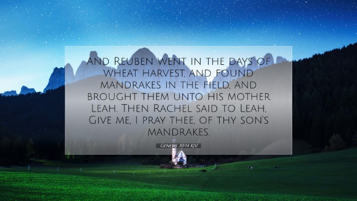 Picture 07 - Genesis 30:14 KJV Desktop Wallpaper - And Reuben went in the days of wheat harvest, and - Desktop Bible Verse Wallpaper