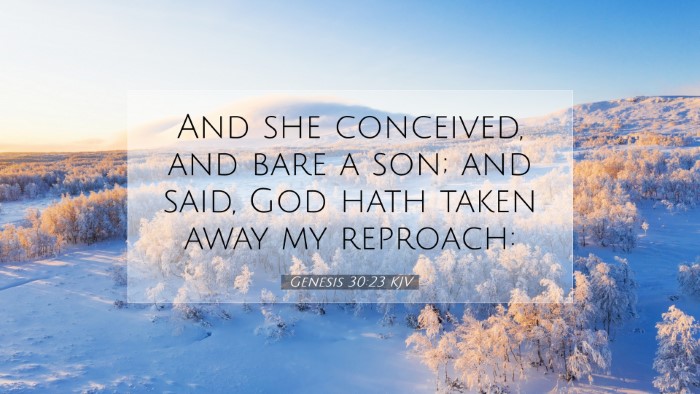 Picture 07 - Genesis 30:23 KJV Desktop Wallpaper - And she conceived, and bare a son; and said, God - Desktop Bible Verse Wallpaper