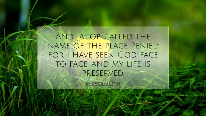 Picture 07 - Genesis 32:30 KJV Desktop Wallpaper - And Jacob called the name of the place Peniel: - Desktop Bible Verse Wallpaper