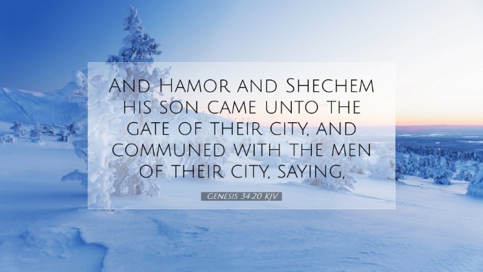 Picture 07 - Genesis 34:20 KJV Desktop Wallpaper - And Hamor and Shechem his son came unto the gate - Desktop Bible Verse Wallpaper