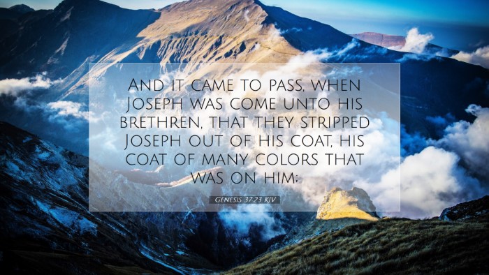 Picture 07 - Genesis 37:23 KJV Desktop Wallpaper - And it came to pass, when Joseph was come unto - Desktop Bible Verse Wallpaper