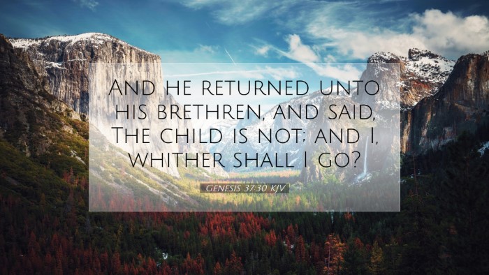 Picture 07 - Genesis 37:30 KJV Desktop Wallpaper - And he returned unto his brethren, and said, The - Desktop Bible Verse Wallpaper